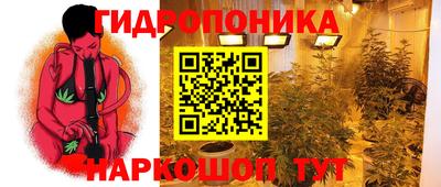 spice Бийск