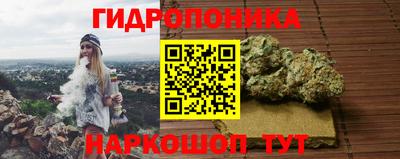 spice Бийск