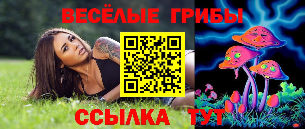 Галлюциногенные грибы Magic Shrooms  Псилоцибиновые грибы Cubensis  Вход с VPN  Клинцы 