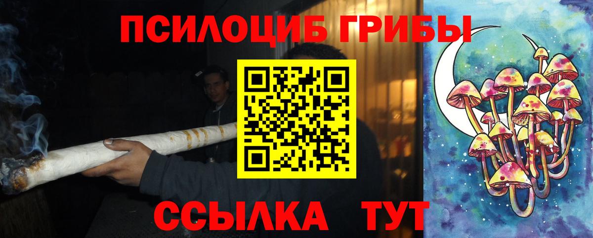 Псилоцибиновые грибы мухоморы Клинцы